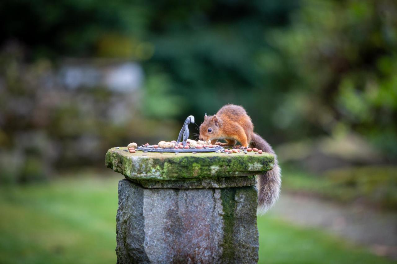 Haweswater Hotel Bampton  Zewnętrze zdjęcie